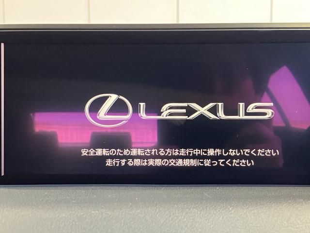 LEXUS UX250h