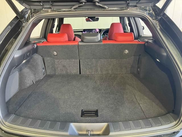 LEXUS UX250h