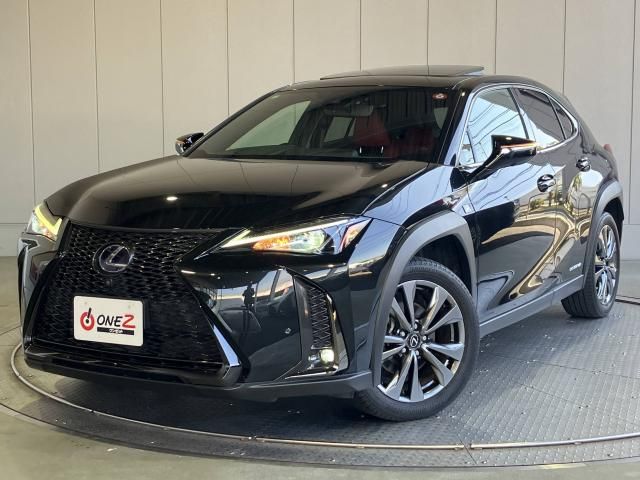 LEXUS UX250h