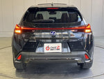LEXUS UX250h