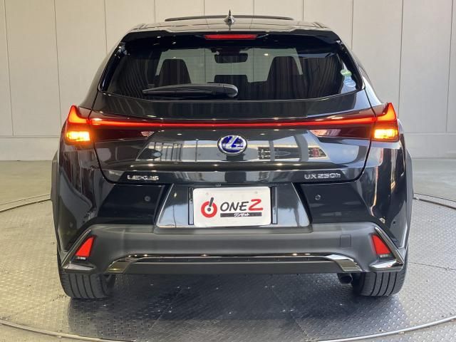 LEXUS UX250h