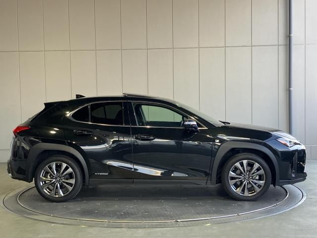 LEXUS UX250h