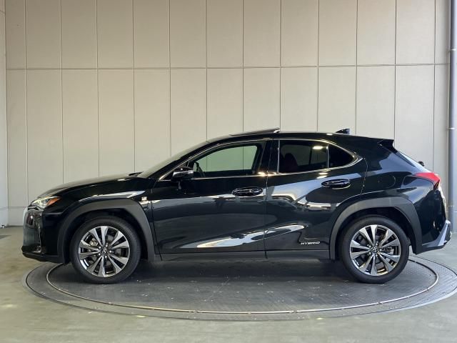 LEXUS UX250h
