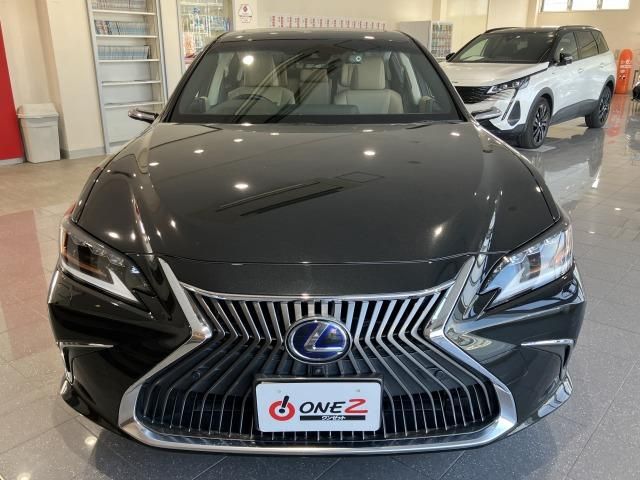 LEXUS ES300h