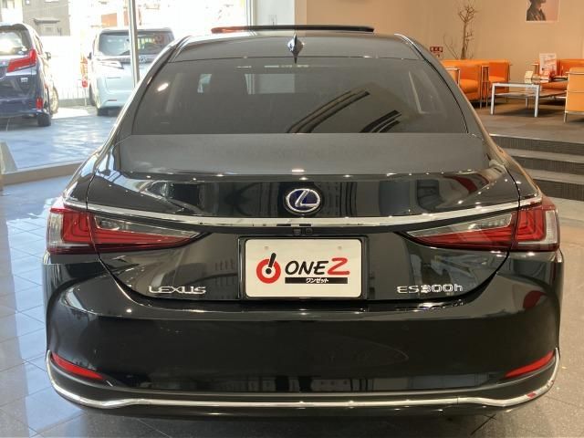 LEXUS ES300h