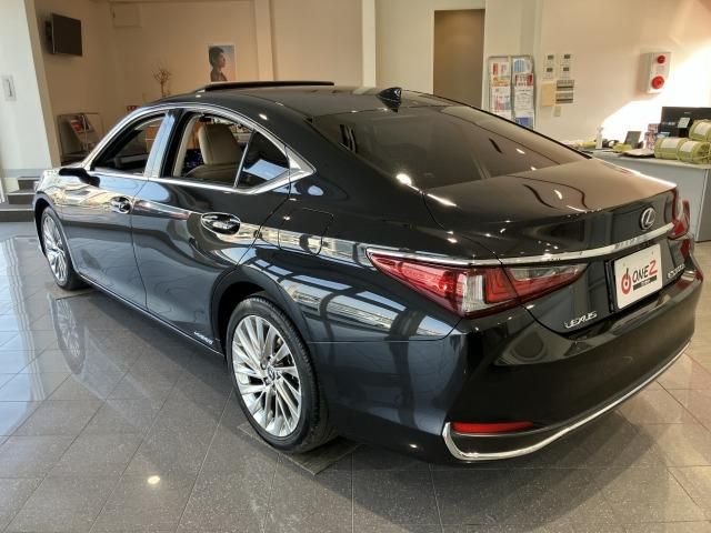 LEXUS ES300h
