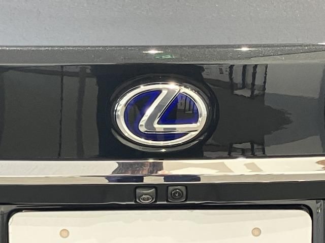 LEXUS ES300h