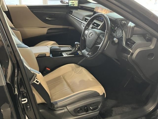 LEXUS ES300h