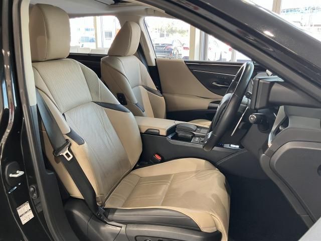 LEXUS ES300h