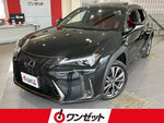 LEXUS UX250h