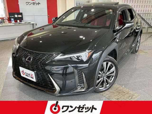 LEXUS UX250h