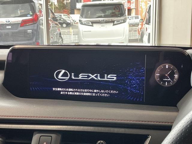 LEXUS UX250h