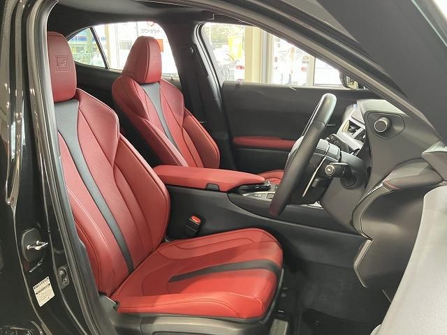 LEXUS UX250h