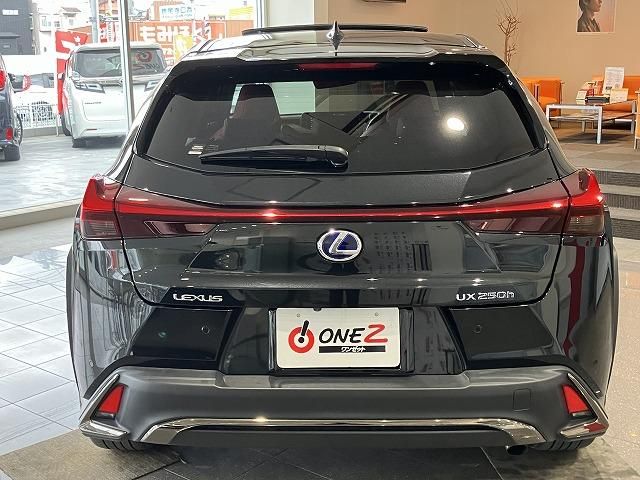 LEXUS UX250h