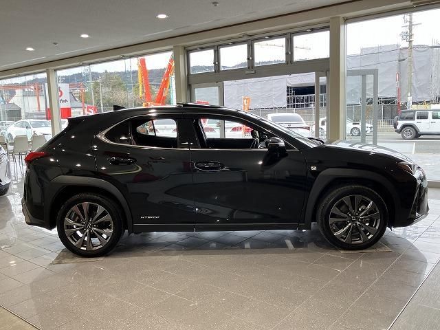 LEXUS UX250h