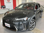 LEXUS UX250h