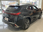LEXUS UX250h