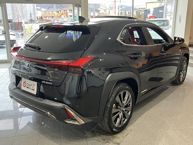 LEXUS UX250h