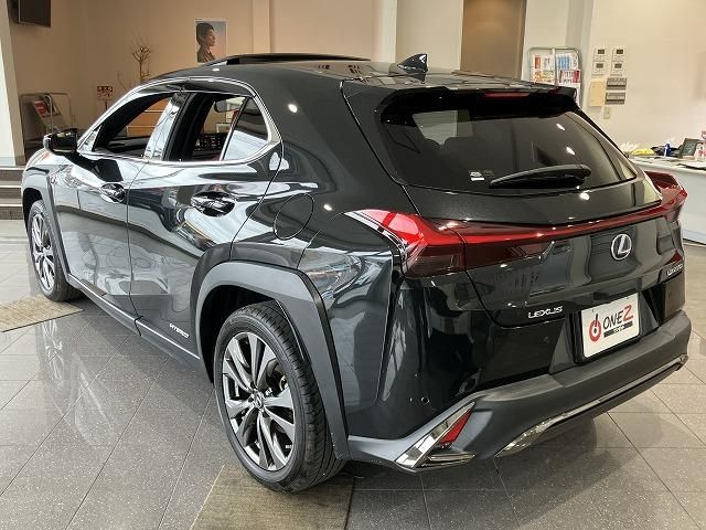 LEXUS UX250h