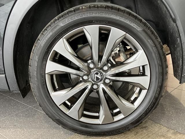LEXUS UX250h