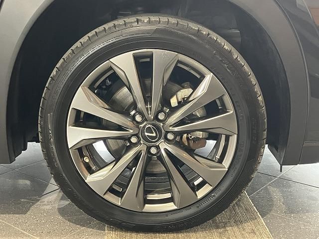 LEXUS UX250h