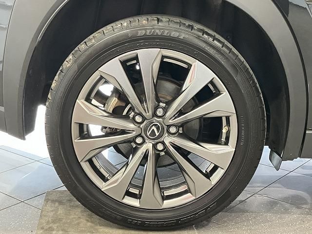 LEXUS UX250h