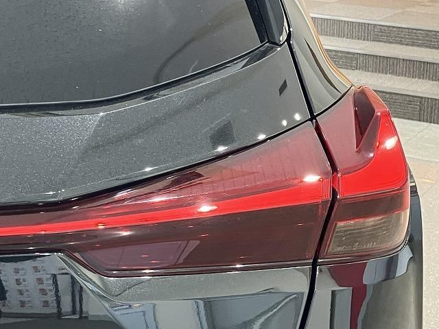 LEXUS UX250h
