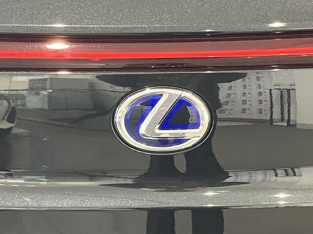 LEXUS UX250h