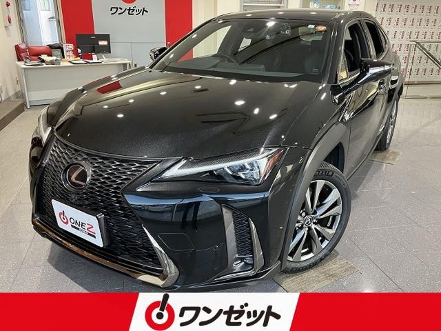 LEXUS UX250h