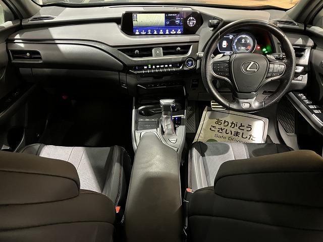 LEXUS UX250h