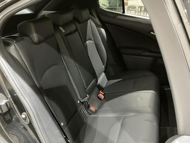 LEXUS UX250h