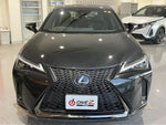 LEXUS UX250h
