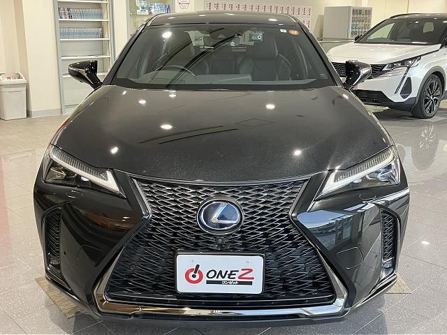 LEXUS UX250h