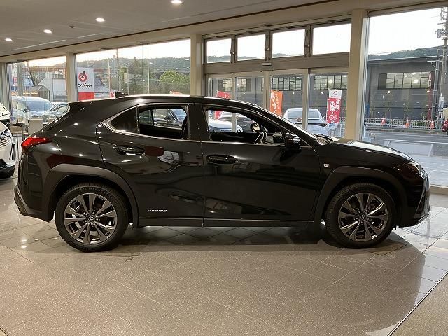 LEXUS UX250h