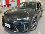 LEXUS UX250h