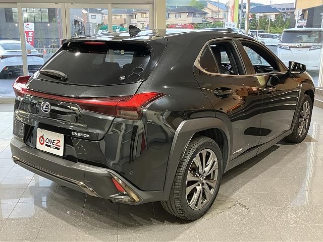 LEXUS UX250h