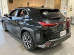 LEXUS UX250h