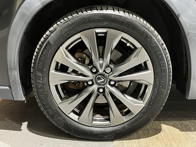LEXUS UX250h