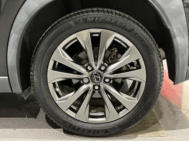 LEXUS UX250h