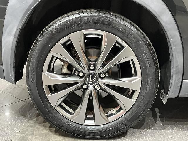 LEXUS UX250h