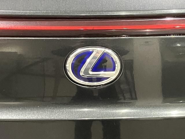 LEXUS UX250h