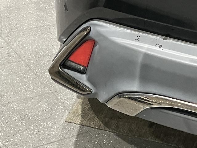 LEXUS UX250h
