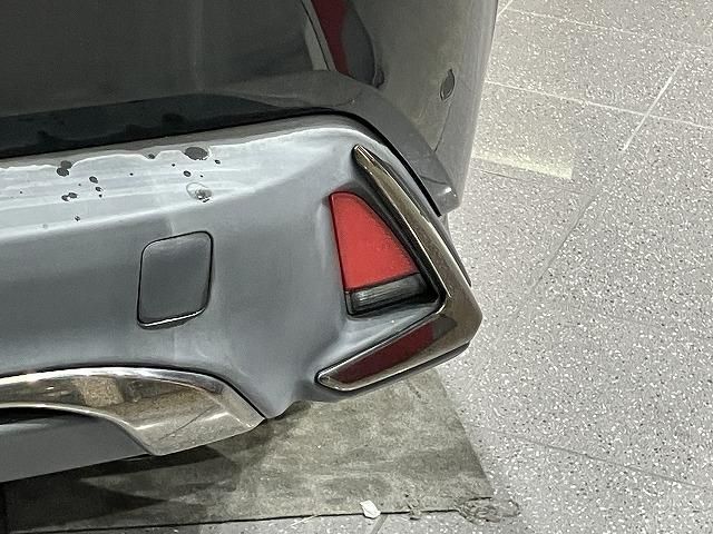 LEXUS UX250h