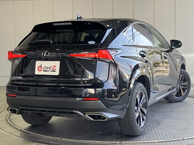LEXUS NX300