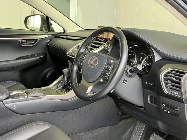 LEXUS NX300