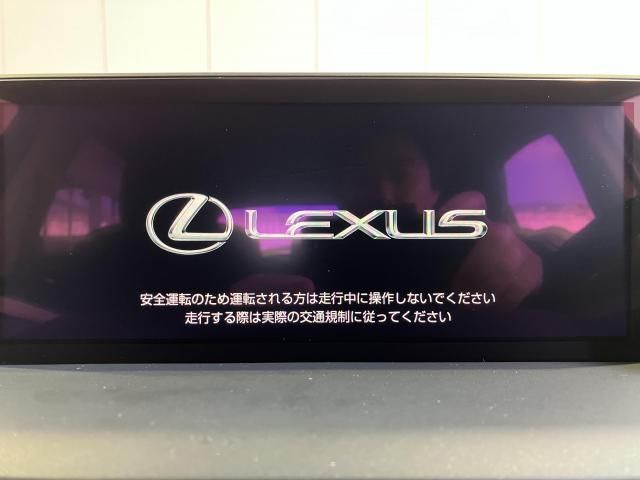 LEXUS NX300