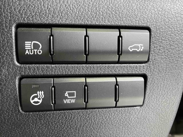 LEXUS NX300