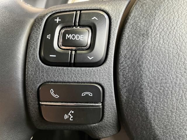 LEXUS NX300