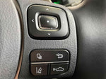 LEXUS NX300