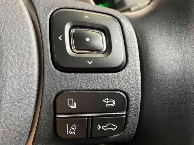 LEXUS NX300
